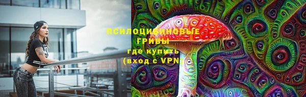 apvp Горнозаводск